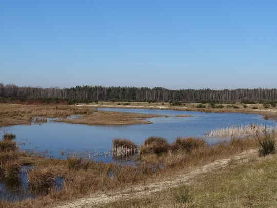 Hero cards mobile Badkamerrenovatie Brabant