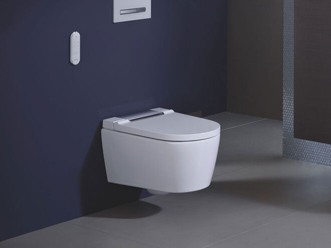 Toiletrenovatie_type-2