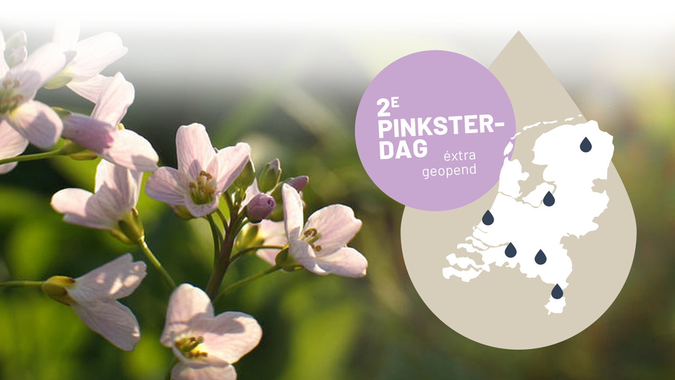 2605_Pinksteren_Widget-1982x1114_mobile