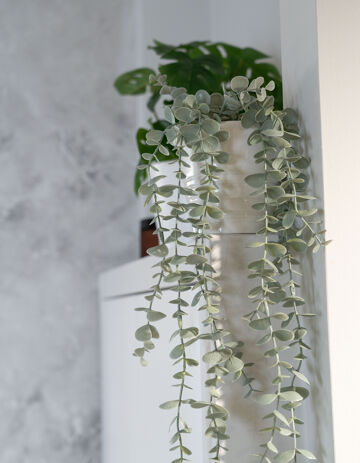 2406_Showroom Nunspeet_opstelling 10_detail_03949_online